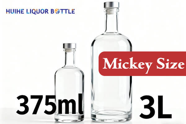 bouteille taille mickey
